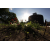 Thumbnail des Veranstaltungsortes