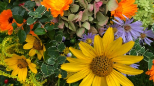 Bild der Veranstaltung