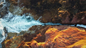 Bild der Veranstaltung