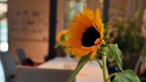 Bild der Veranstaltung