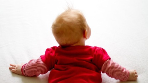 Bild der Veranstaltung