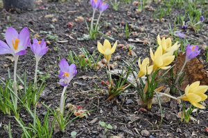 Bild der Veranstaltung