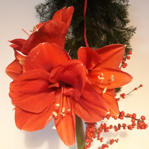 Bild der Veranstaltung