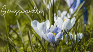 Bild der Veranstaltung