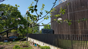 Bild der Veranstaltung