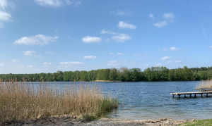 Bild der Veranstaltung