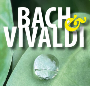 Bild der Veranstaltung