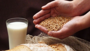 Bild der Veranstaltung