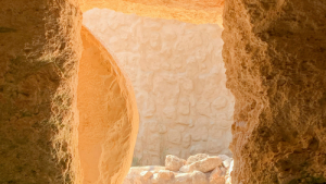 Bild der Veranstaltung