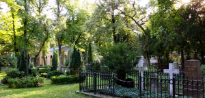 Bild der Veranstaltung