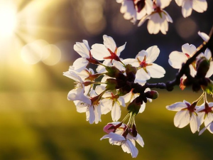 Bild der Veranstaltung