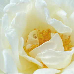 Bild der Veranstaltung