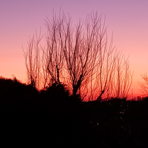 Bild der Veranstaltung