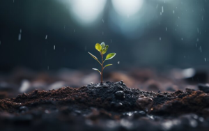 Bild der Veranstaltung