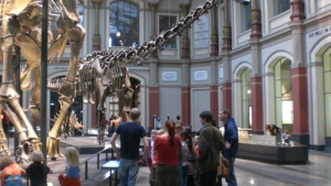 Bild der Veranstaltung