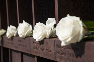 Bild der Veranstaltung