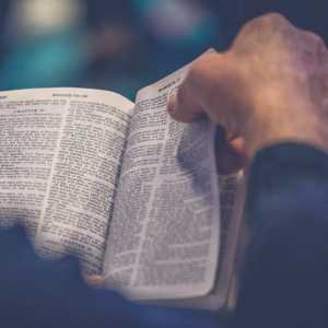 Bild der Veranstaltung