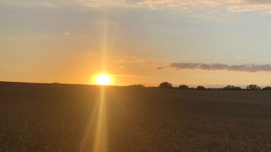 Bild der Veranstaltung