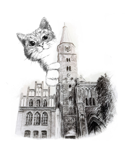 Bild der Veranstaltung