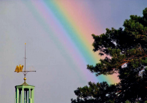 Bild der Veranstaltung