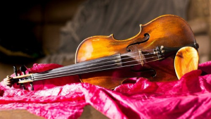 Bild der Veranstaltung