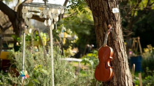 Bild der Veranstaltung