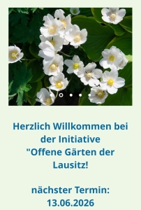 Bild der Veranstaltung