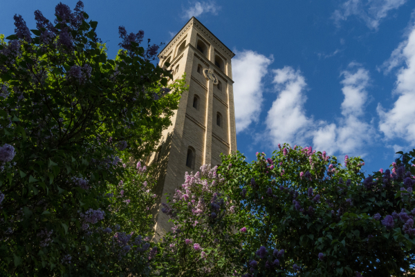 Campanile der Bornstedter Kirche mit Flieder