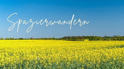 Bild der Veranstaltung