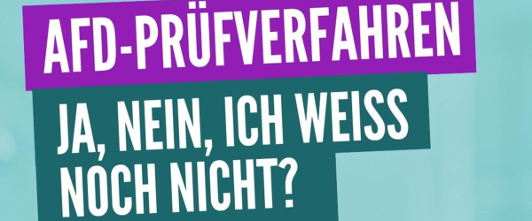 Überschrift des Flyers: AfD-Prüfverfahren: Ja, nein, ich weiß noch nicht?